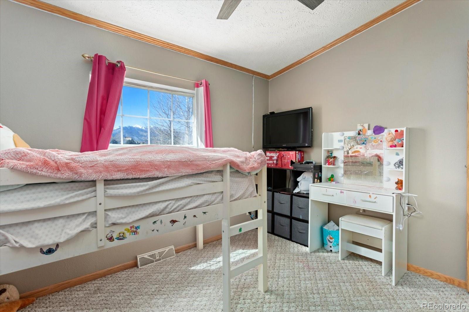 26388 Bassam Circle Buena Vista CO 81211