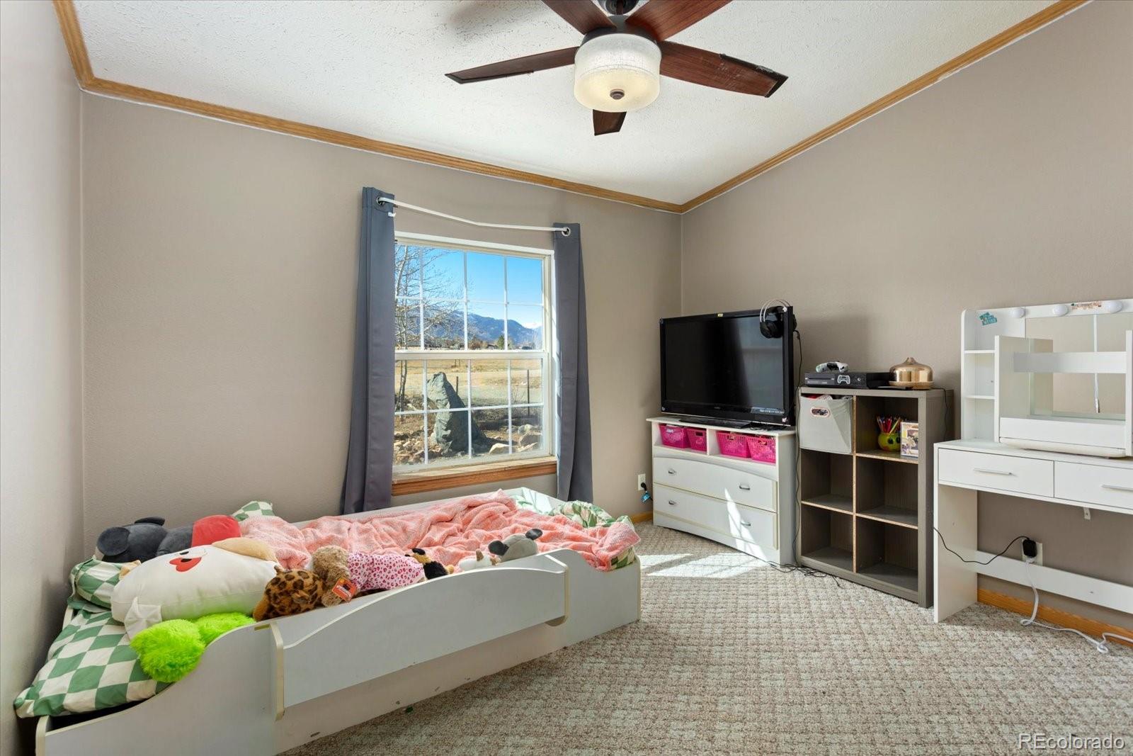 26388 Bassam Circle Buena Vista CO 81211
