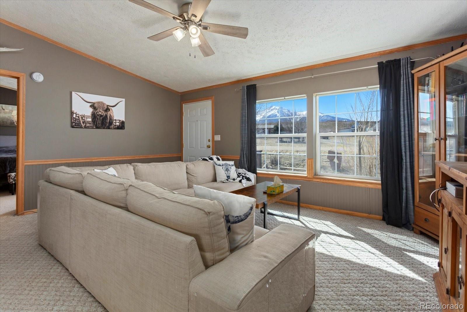26388 Bassam Circle Buena Vista CO 81211
