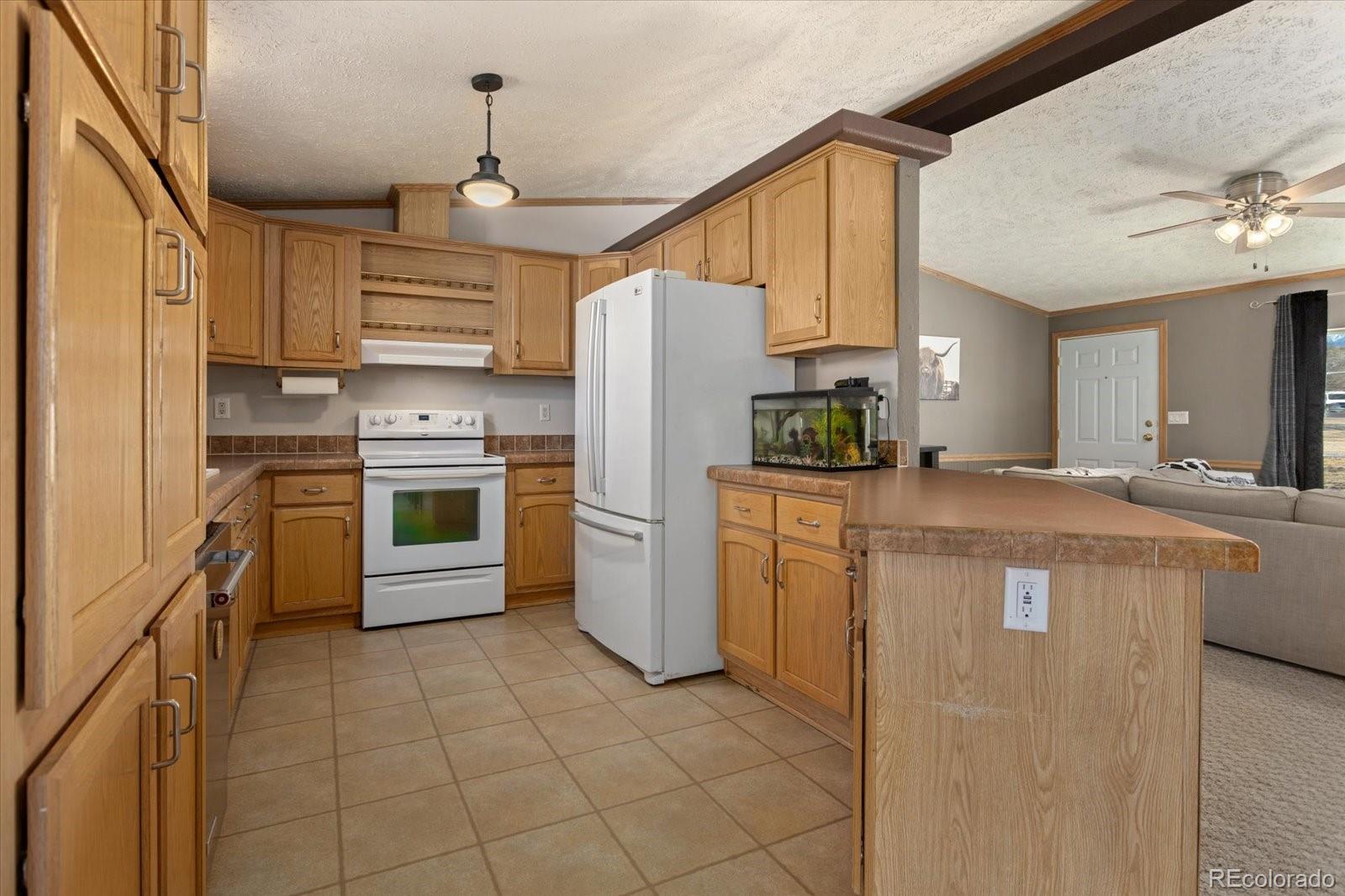26388 Bassam Circle Buena Vista CO 81211