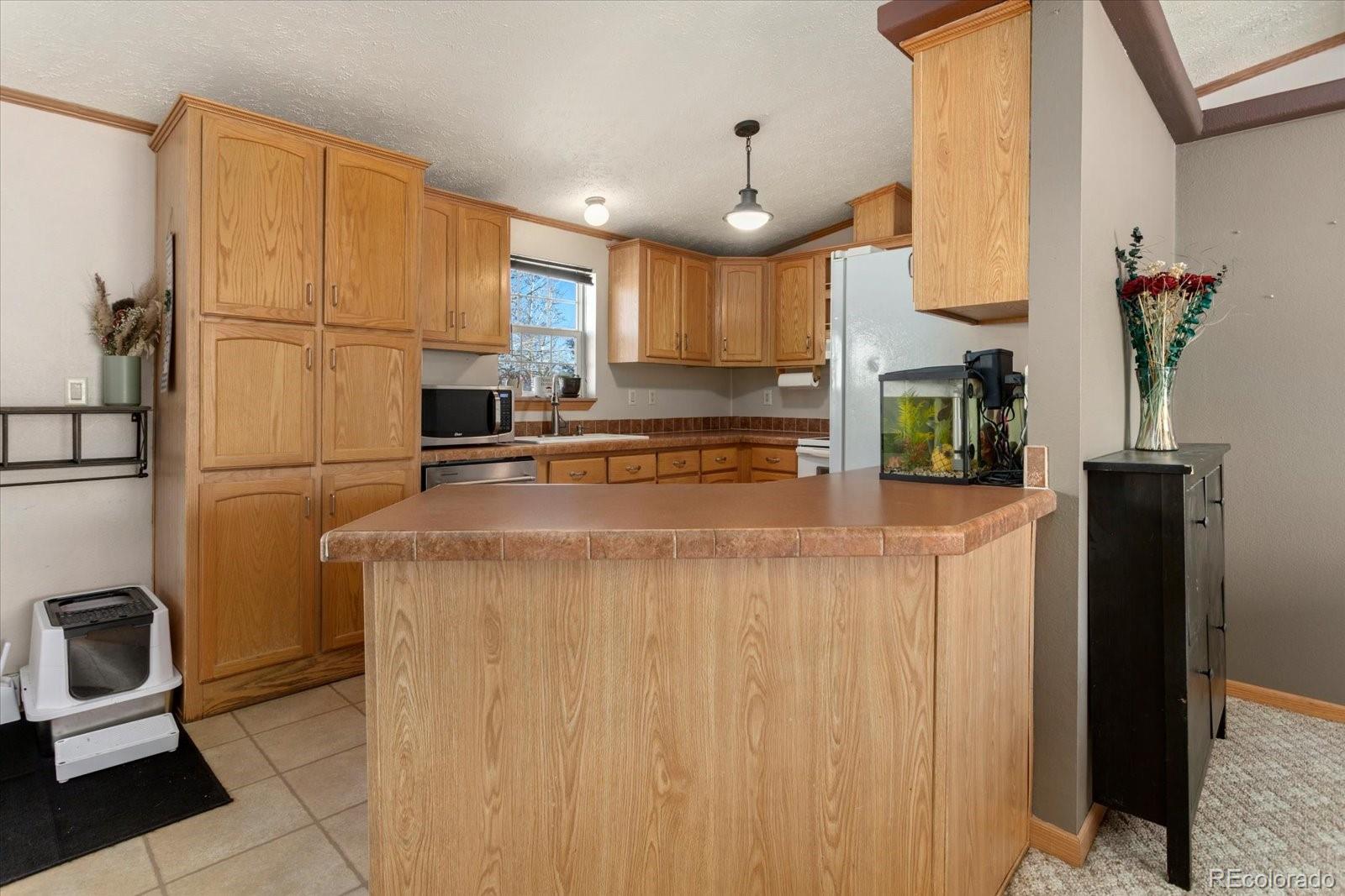 26388 Bassam Circle Buena Vista CO 81211