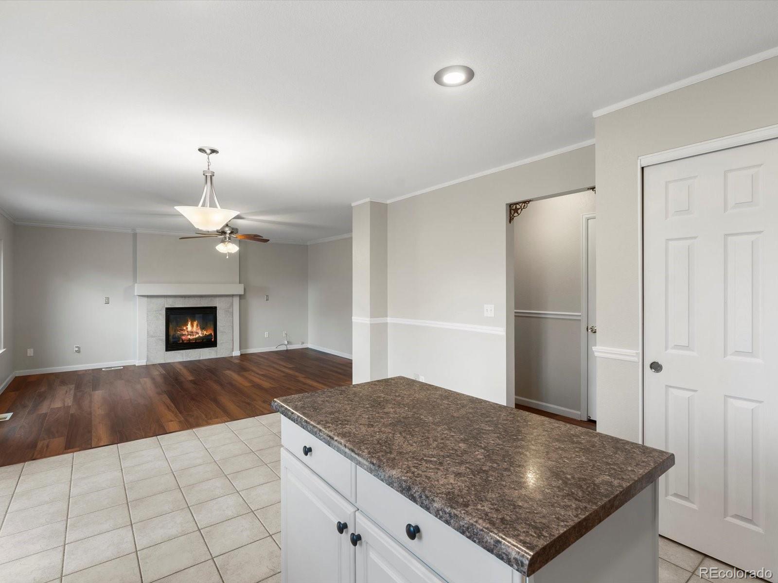 11710 Meadowood Lane Parker CO 80138