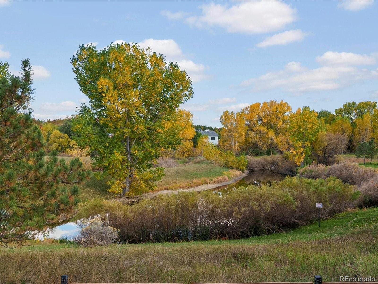 11710 Meadowood Lane Parker CO 80138