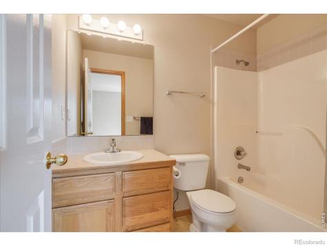 883 Emerald Drive Windsor CO 80550