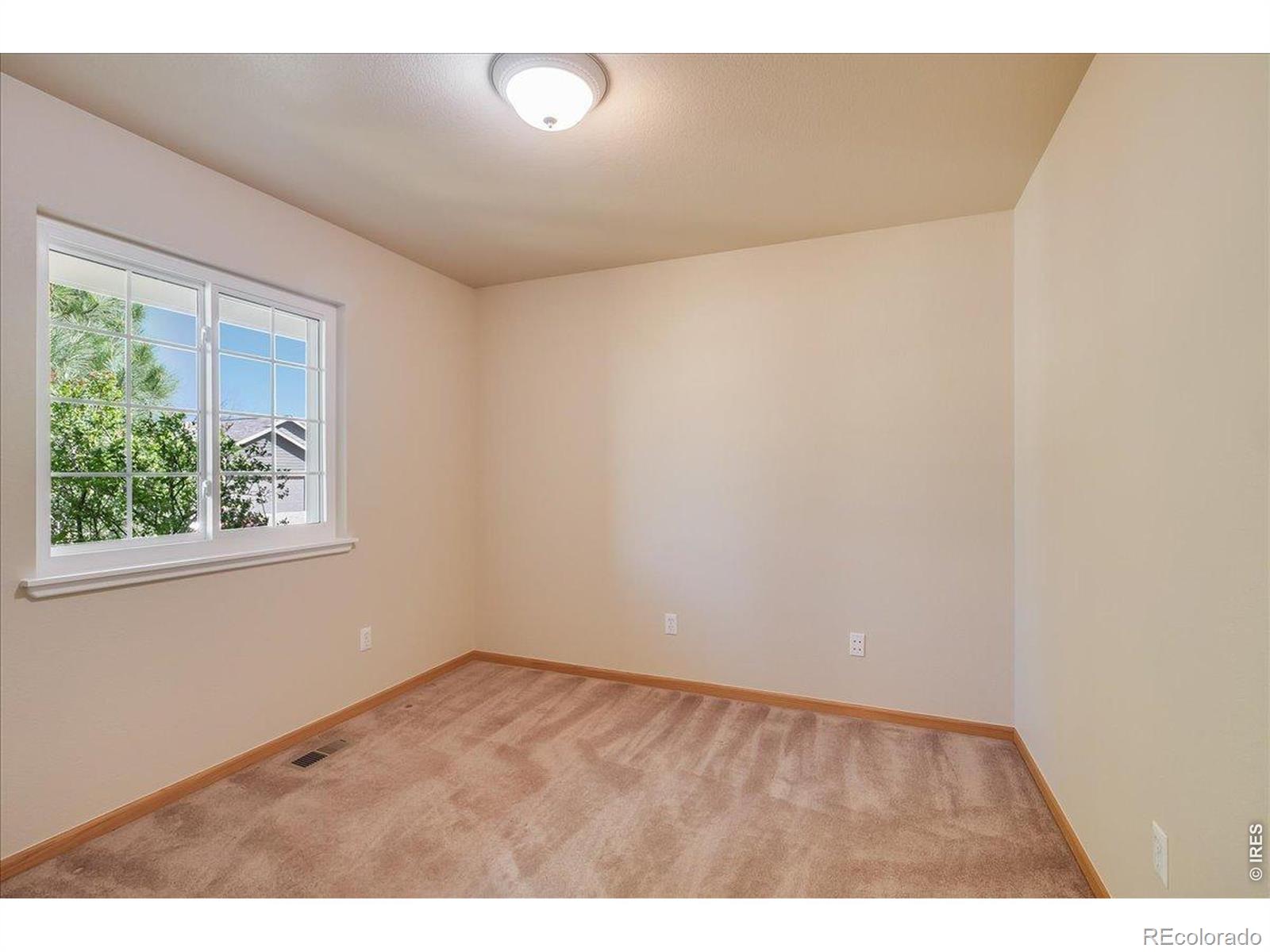 883 Emerald Drive Windsor CO 80550
