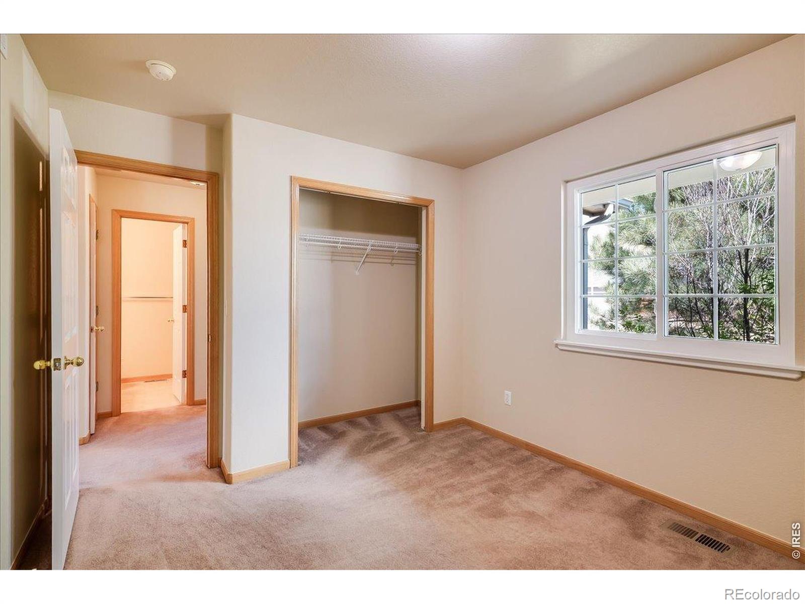 883 Emerald Drive Windsor CO 80550