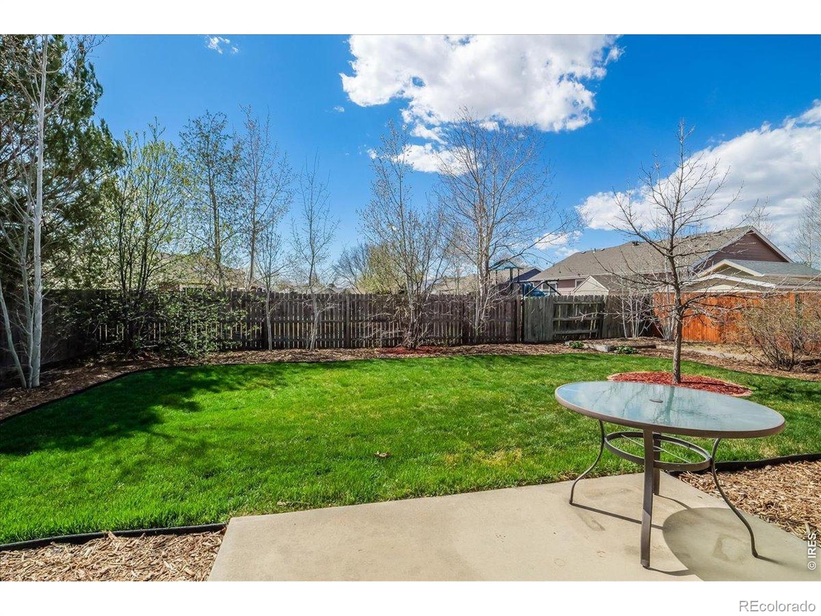 883 Emerald Drive Windsor CO 80550
