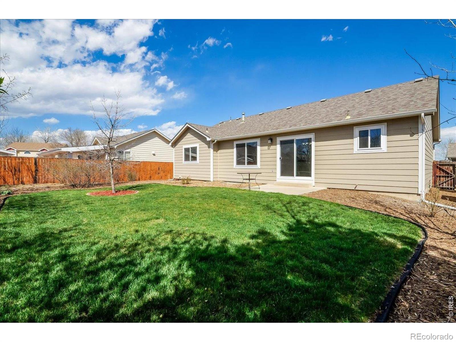 883 Emerald Drive Windsor CO 80550