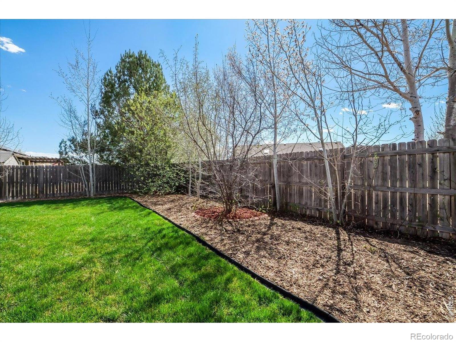883 Emerald Drive Windsor CO 80550
