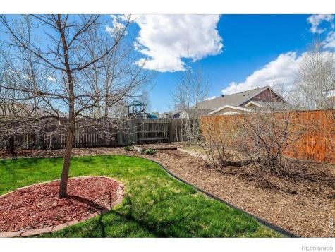 883 Emerald Drive Windsor CO 80550