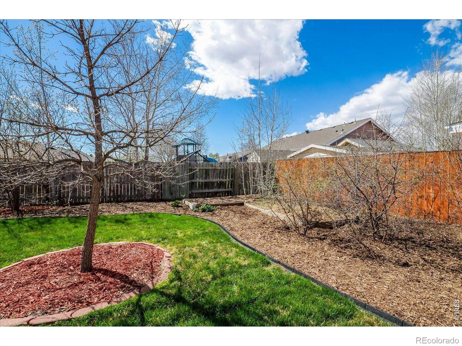 883 Emerald Drive Windsor CO 80550
