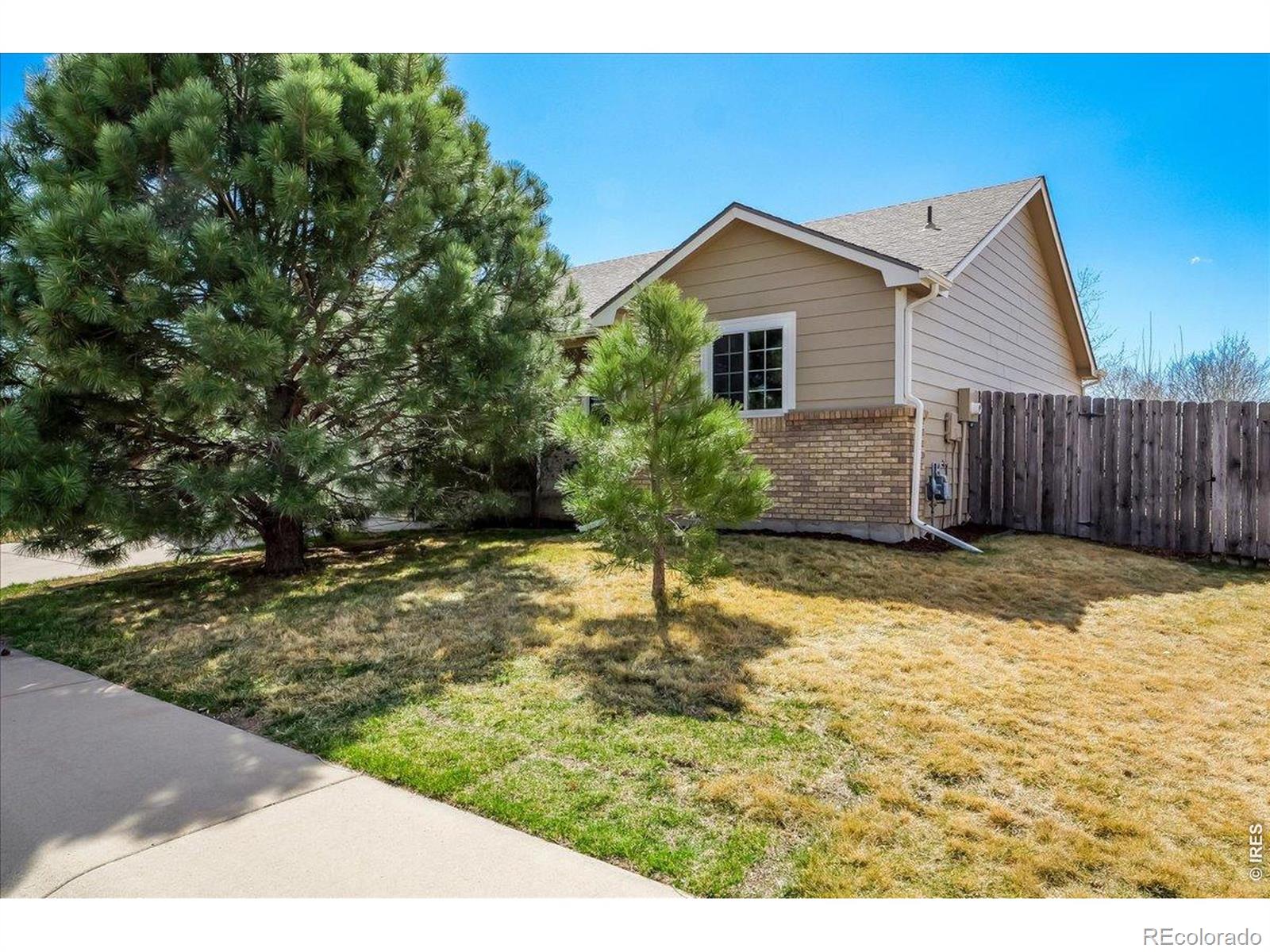 883 Emerald Drive Windsor CO 80550