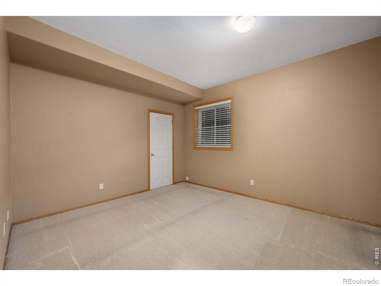 1410 Wildrose Drive Longmont CO 80503