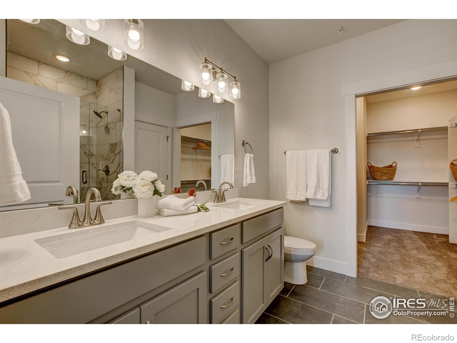 3425 Triano Creek Drive Loveland CO 80538