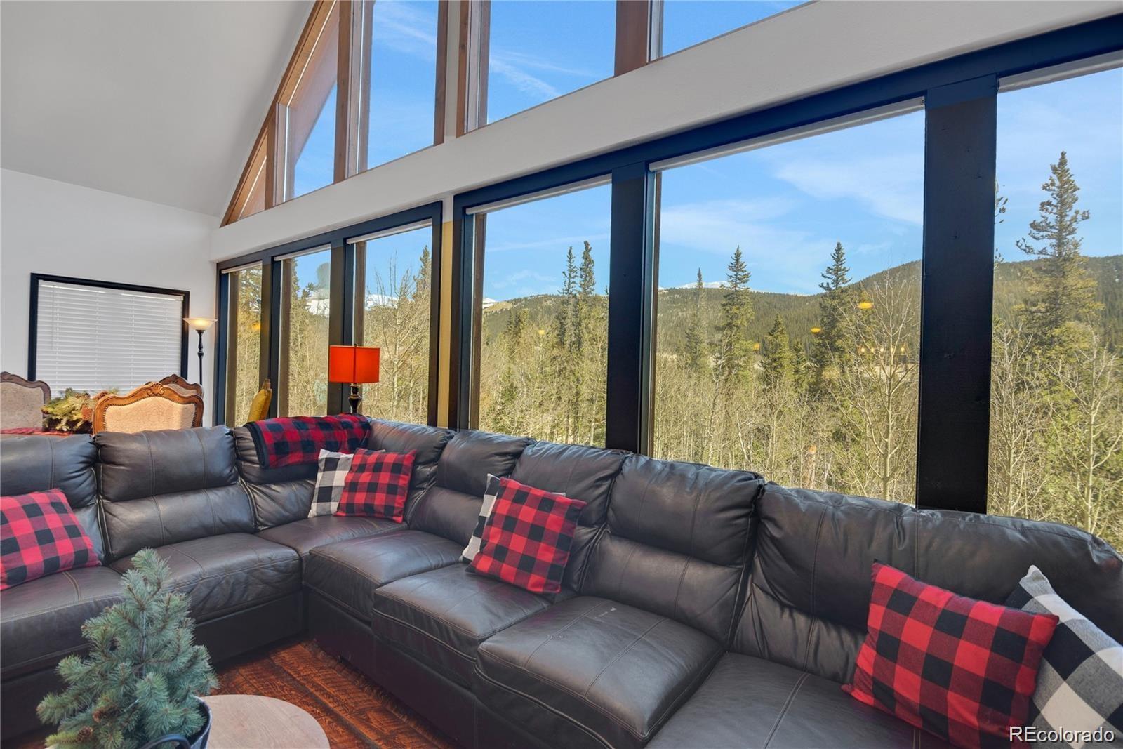 496 Quartzville Road Alma CO 80420