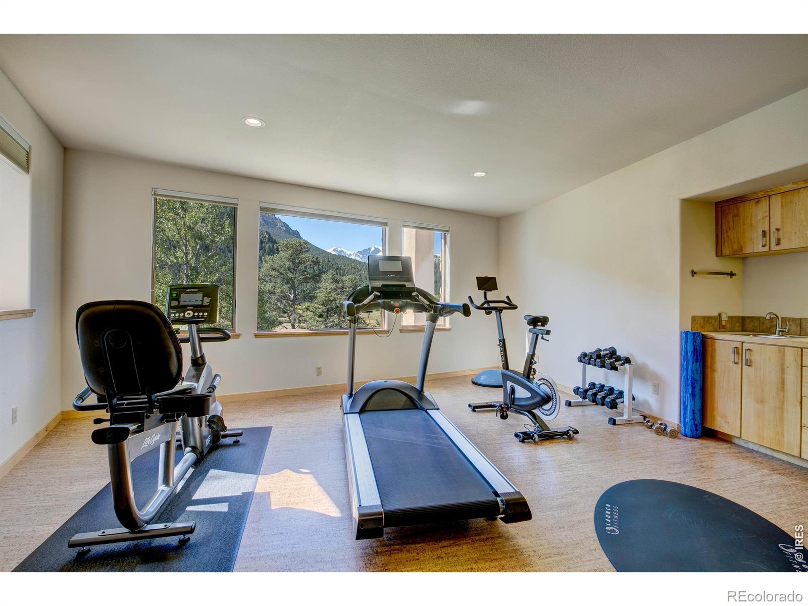 3495 Saint Francis Way Estes Park CO 80517