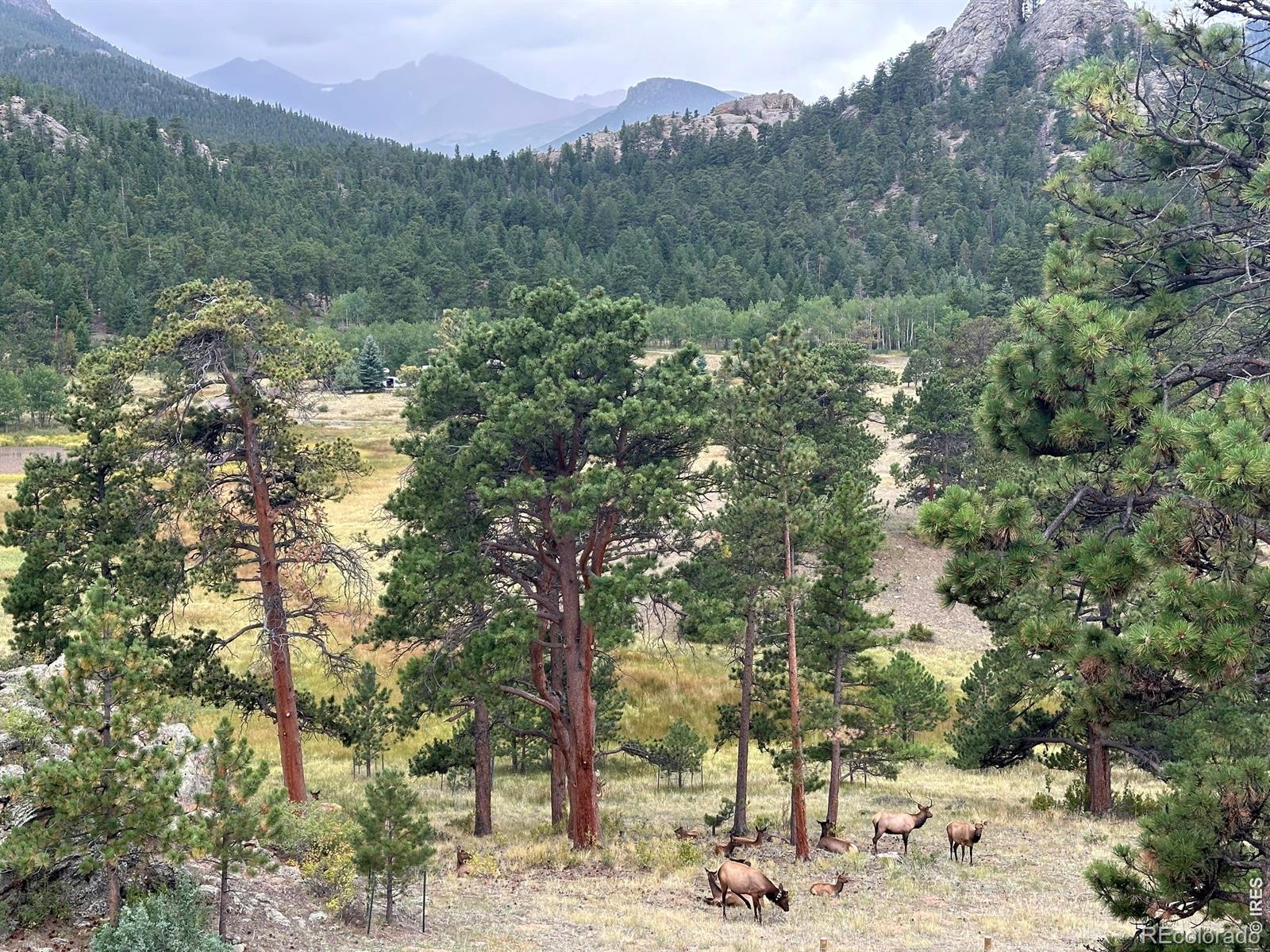 3495 Saint Francis Way Estes Park CO 80517