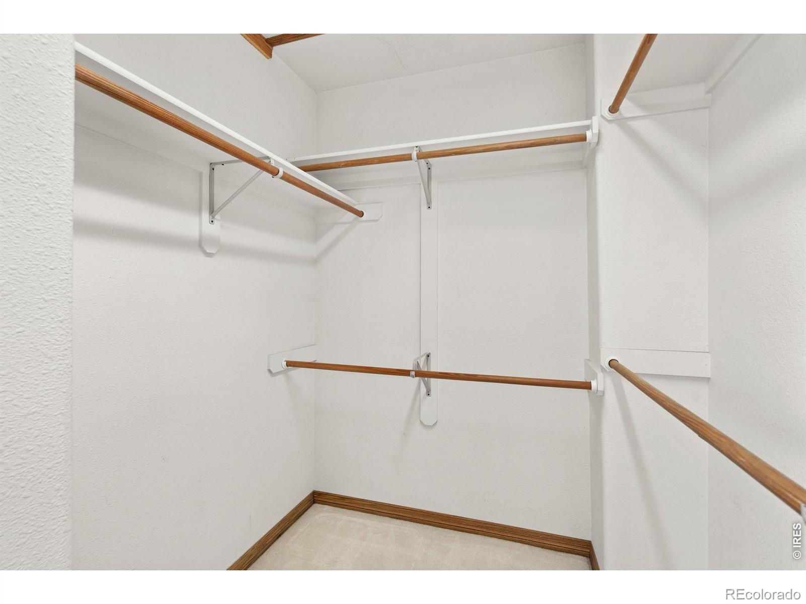 7564 Tamarisk Drive Fort Collins CO 80528