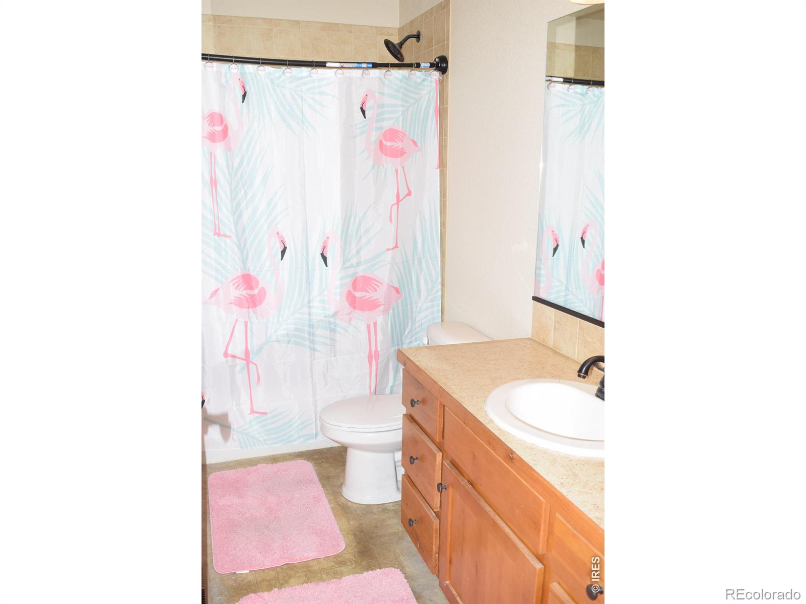 4400 Paintbrush Drive Evans CO 80620