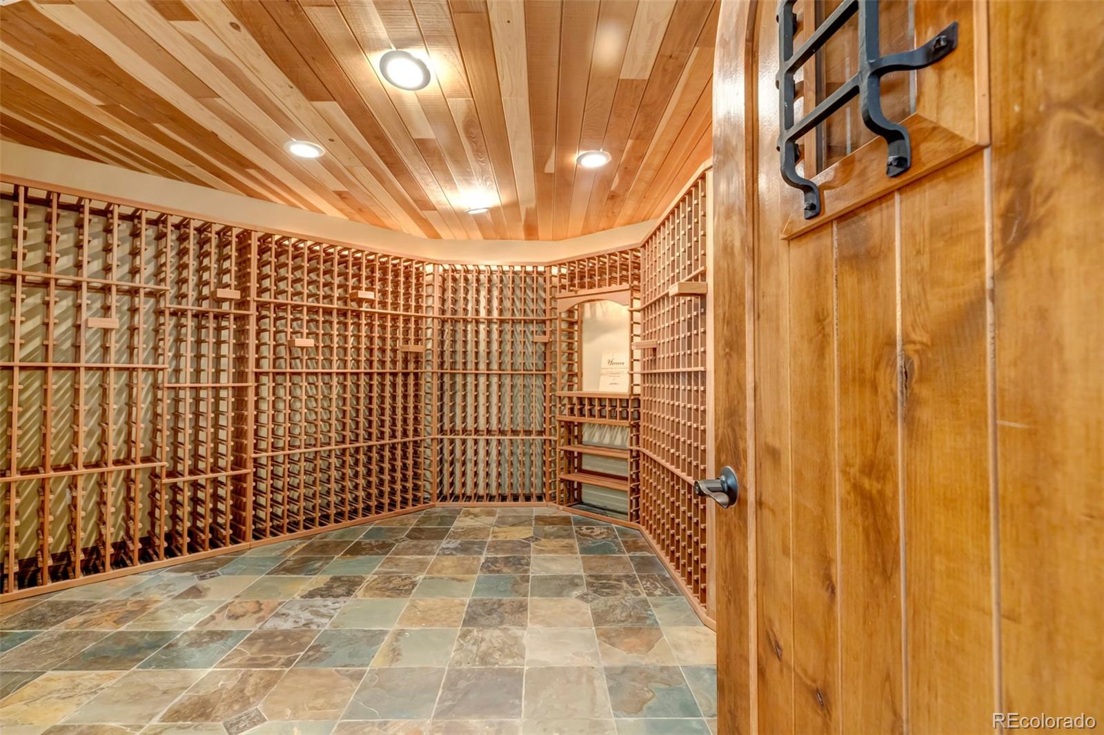 9132 Scenic Pine Drive Parker CO 80134