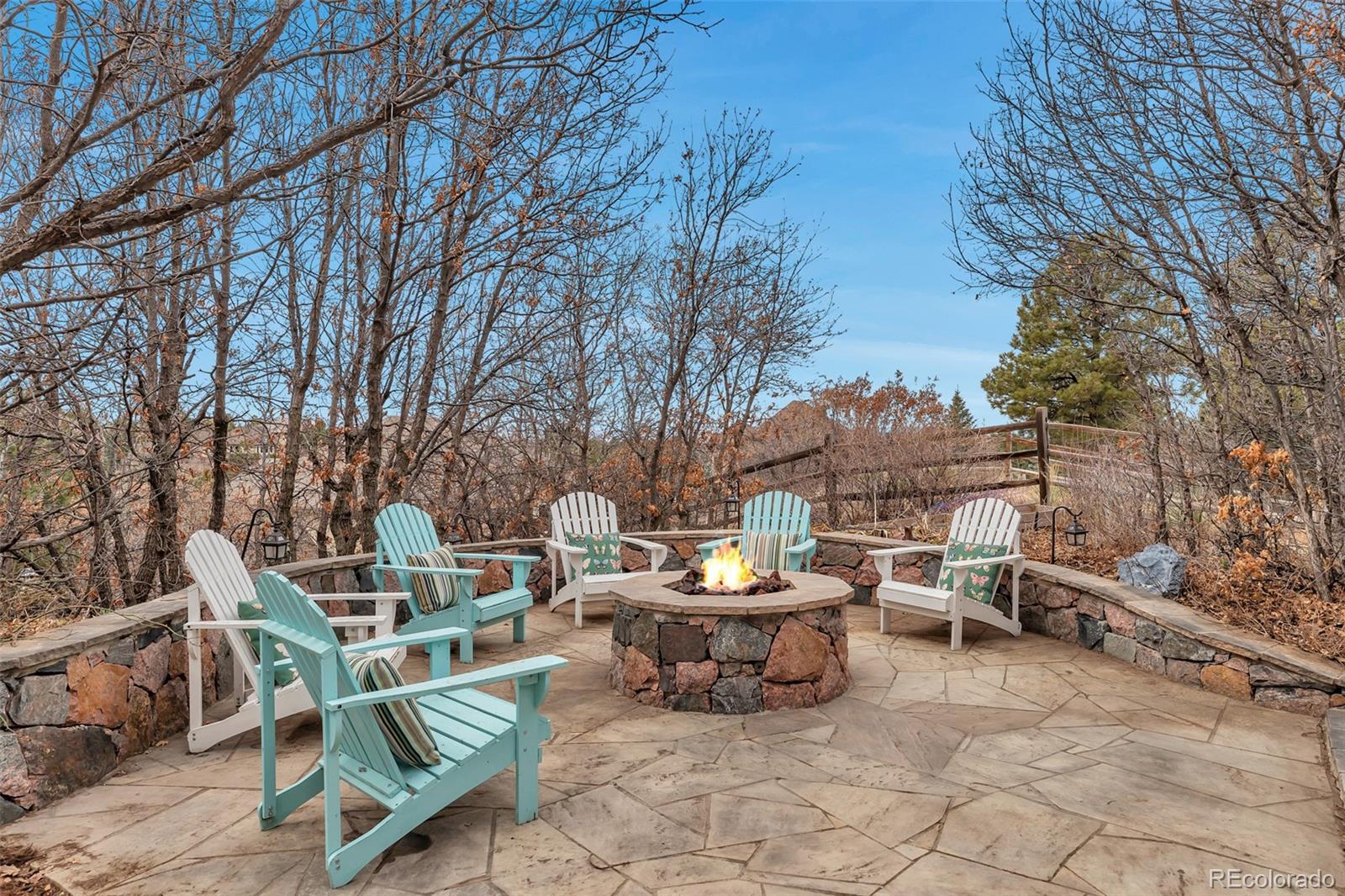 9132 Scenic Pine Drive Parker CO 80134