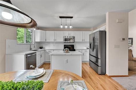9717 Castle Ridge Circle Highlands Ranch CO 80129