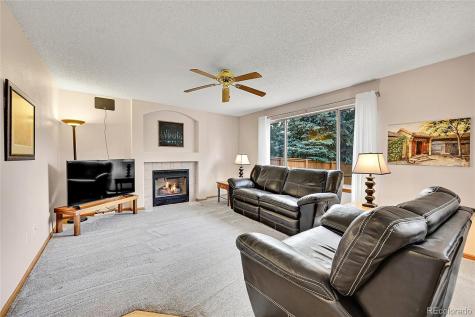 9717 Castle Ridge Circle Highlands Ranch CO 80129