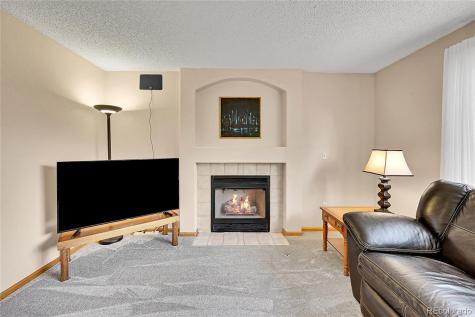 9717 Castle Ridge Circle Highlands Ranch CO 80129