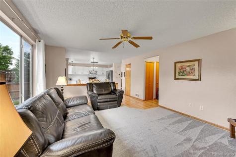 9717 Castle Ridge Circle Highlands Ranch CO 80129