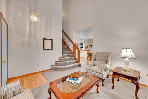 9717 Castle Ridge Circle Highlands Ranch CO 80129