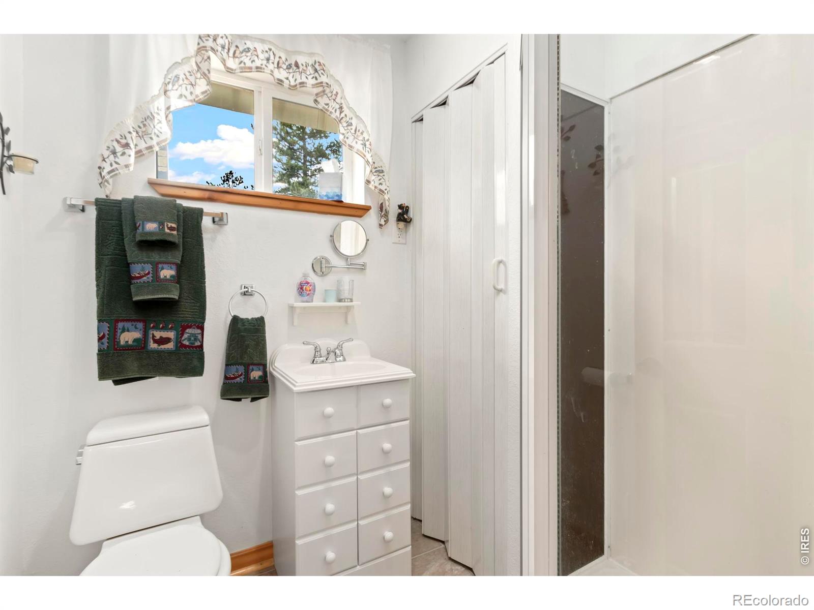 67 Timicua Court Red Feather Lakes CO 80545
