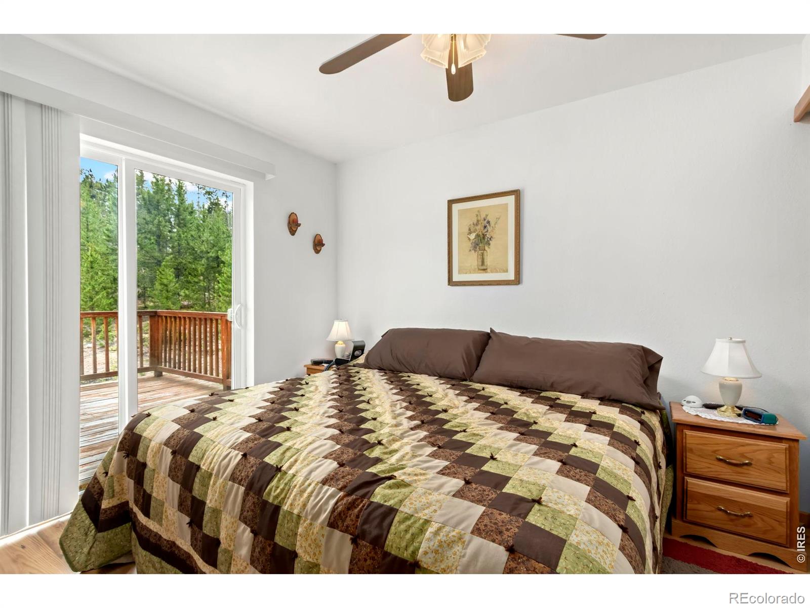 67 Timicua Court Red Feather Lakes CO 80545