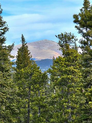 1678 Cr-14a Fairplay CO 80440