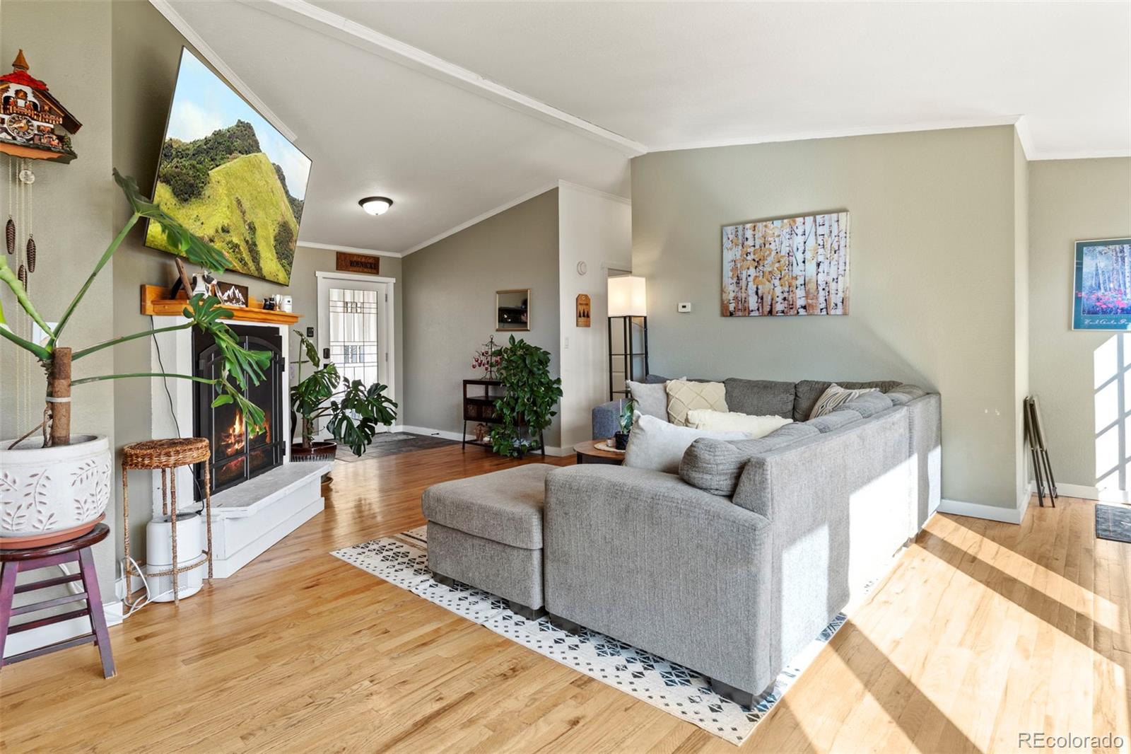11608 Nichols Way Conifer CO 80433