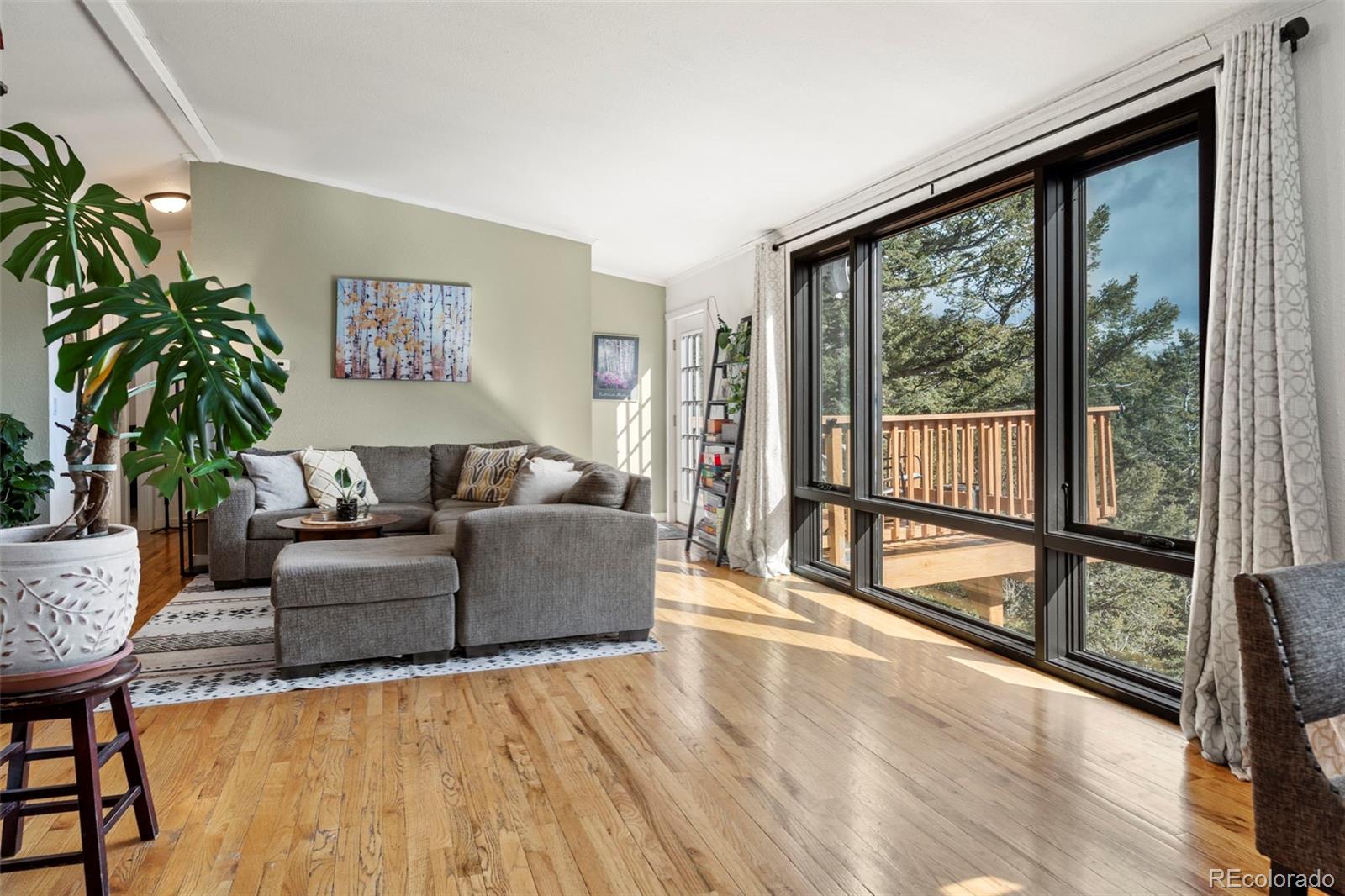 11608 Nichols Way Conifer CO 80433
