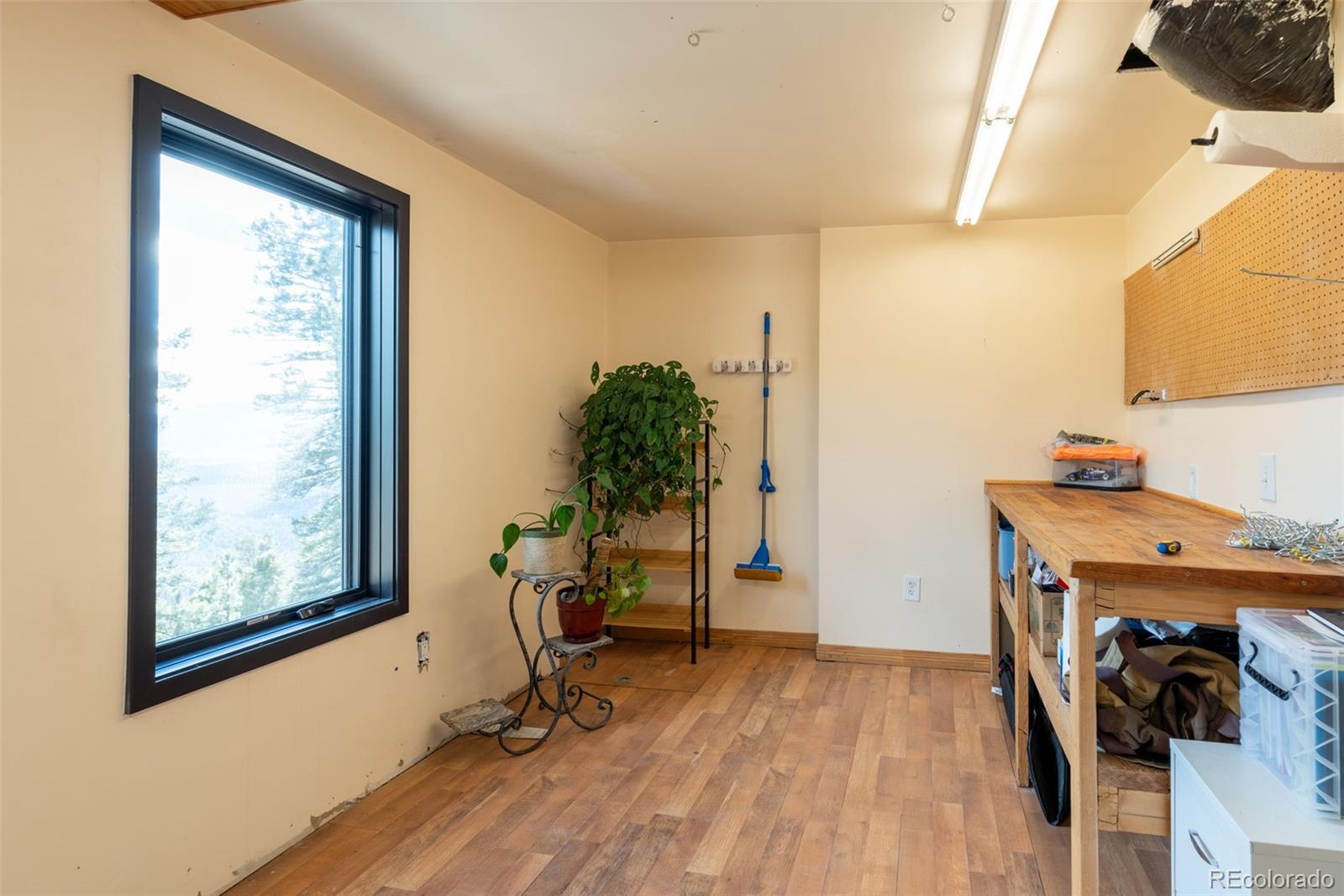 11608 Nichols Way Conifer CO 80433