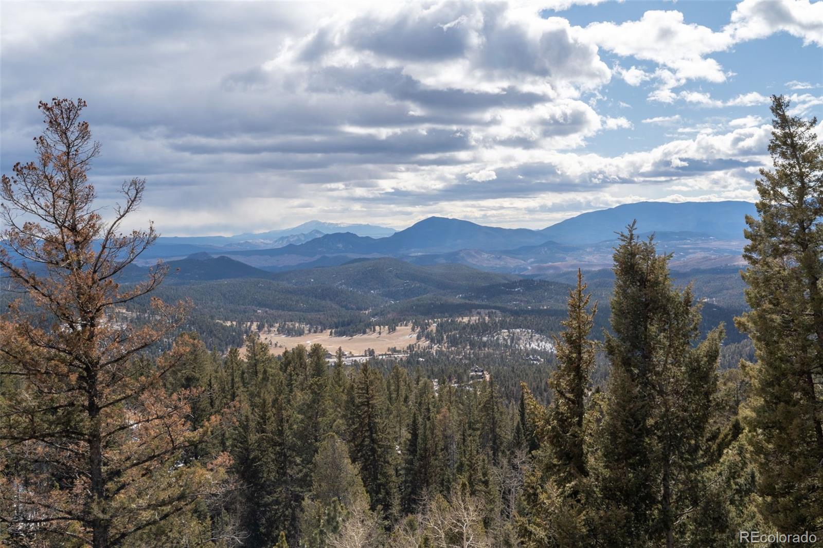 11608 Nichols Way Conifer CO 80433