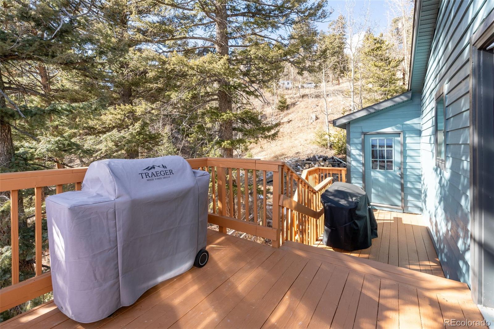 11608 Nichols Way Conifer CO 80433