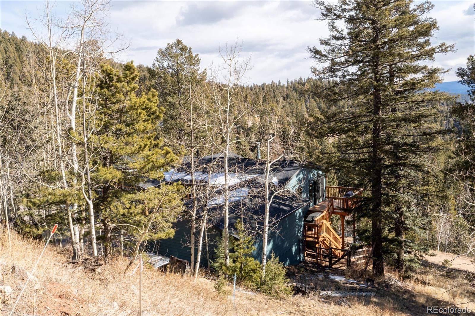 11608 Nichols Way Conifer CO 80433
