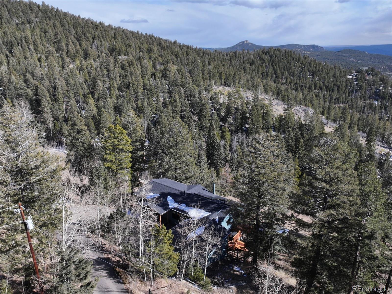 11608 Nichols Way Conifer CO 80433