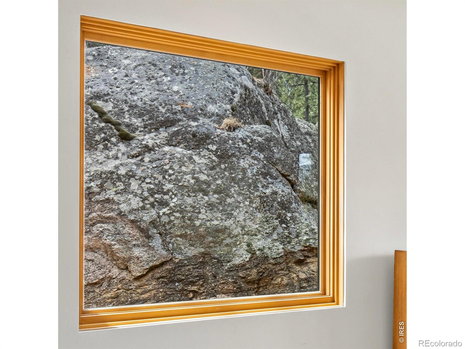 700 Spring Street Estes Park CO 80517