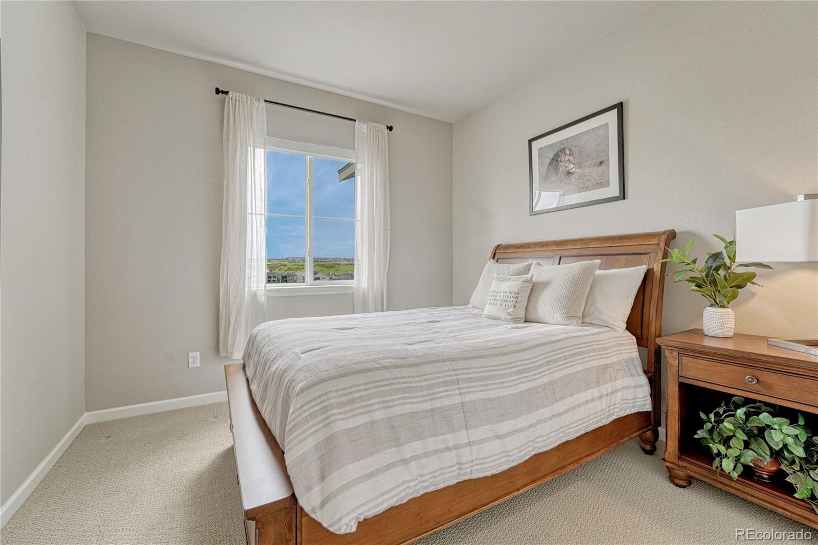 1470 Golden Sill Drive Castle Rock CO 80108