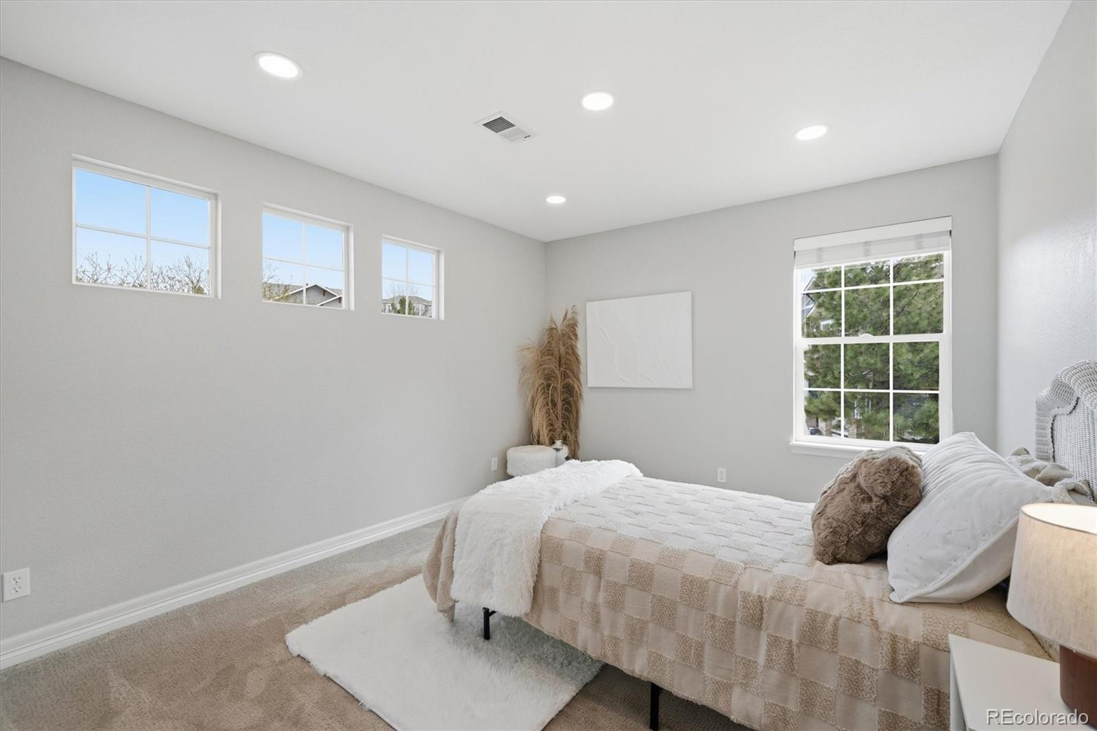 3813 Sky Hawk Court Castle Rock CO 80109
