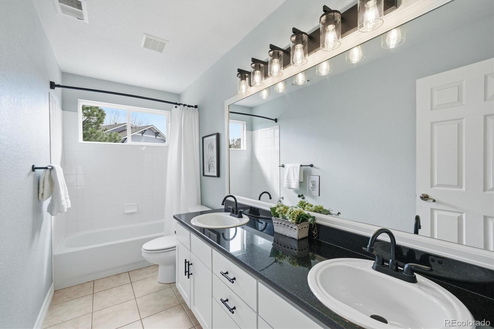 3813 Sky Hawk Court Castle Rock CO 80109