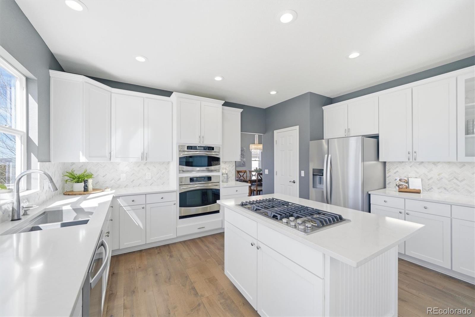 3813 Sky Hawk Court Castle Rock CO 80109