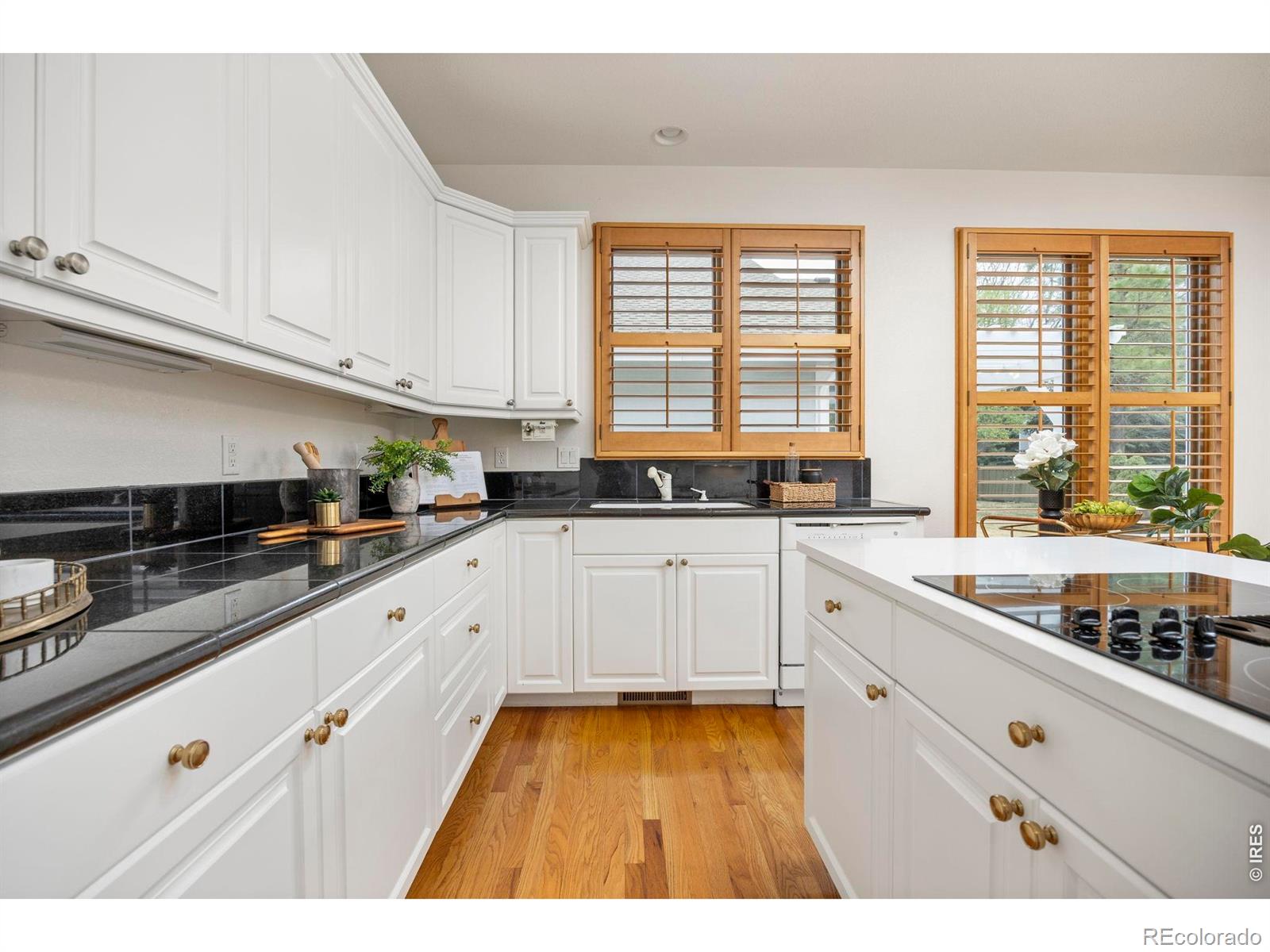 3327 Ledgestone Court Fort Collins CO 80528