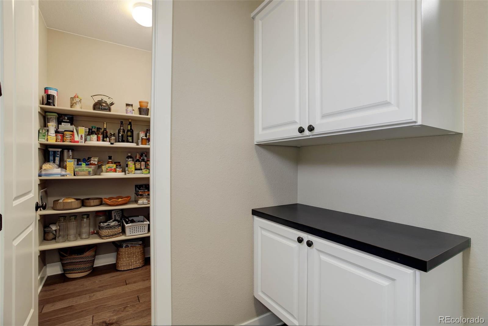 10167 Nadine Avenue Parker CO 80134