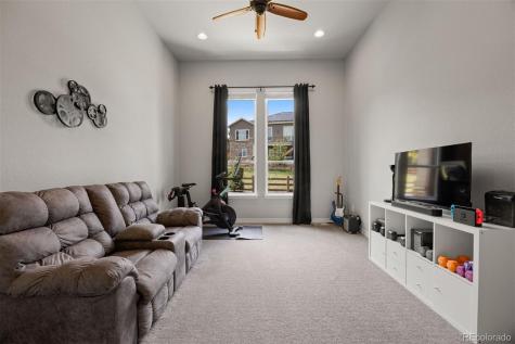 4071 Spanish Oaks Court Castle Rock CO 80108