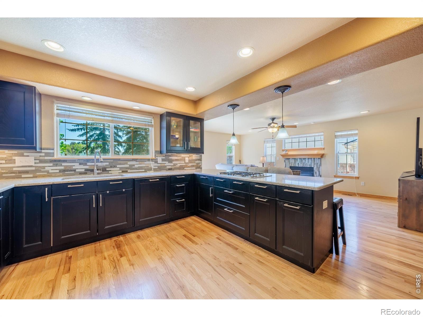 2513 Falcon Drive Longmont CO 80503