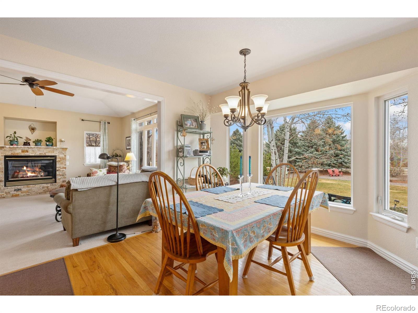 6595 Saddleback Avenue Firestone CO 80504